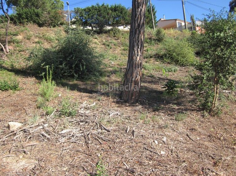 Foto a2ba517e-a13c-4f1c-a86f-84c599c4a74e. Terreno residencial parcel.la edificable a urb. terrafortuna - en Vidreres