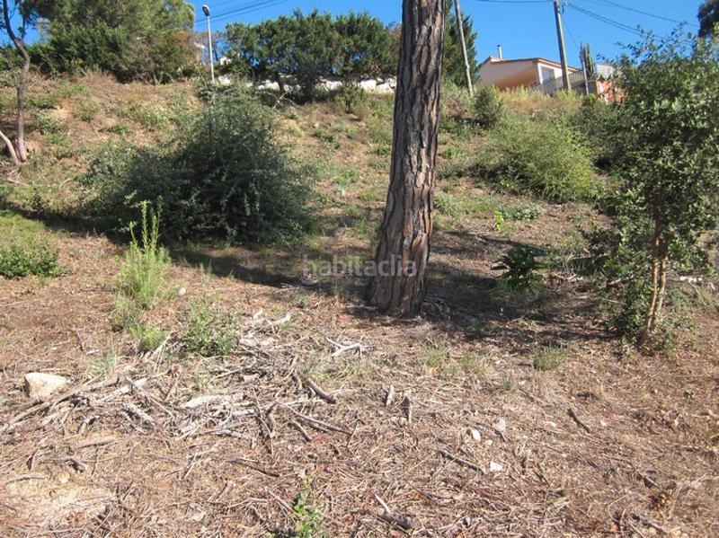 Foto a2ba517e-a13c-4f1c-a86f-84c599c4a74e. Residential plot in Terrafortuna - Puig Ventós Vidreres