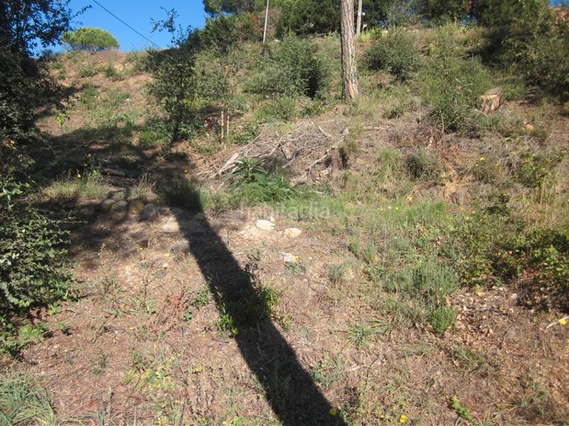 Foto c52e94fd-8ffd-4747-a8c5-fe47b0a68361. Residential plot in Terrafortuna - Puig Ventós Vidreres