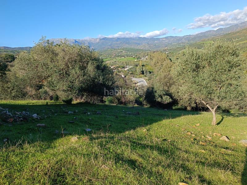 Foto 09a20c83-f210-4f51-9627-9f68958a9ce8. Xalet a avenida de andalucía 29 a Guaro