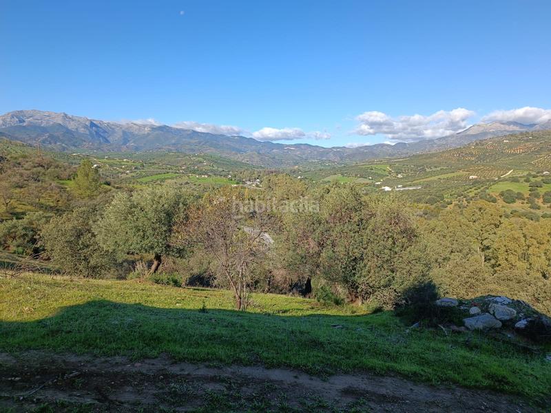 Foto 12a68f71-fc9a-48b0-b640-81c878f10bdb. Xalet a avenida de andalucía 29 a Guaro