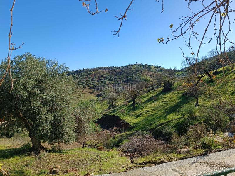 Foto 16b763bd-4193-4c07-95be-8f0af54e193b. Xalet a avenida de andalucía 29 a Guaro