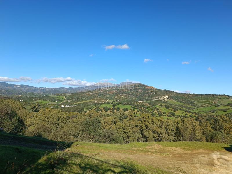 Foto 2254a1d9-efd4-451e-827b-c4ddb084c2a8. Xalet a avenida de andalucía 29 a Guaro