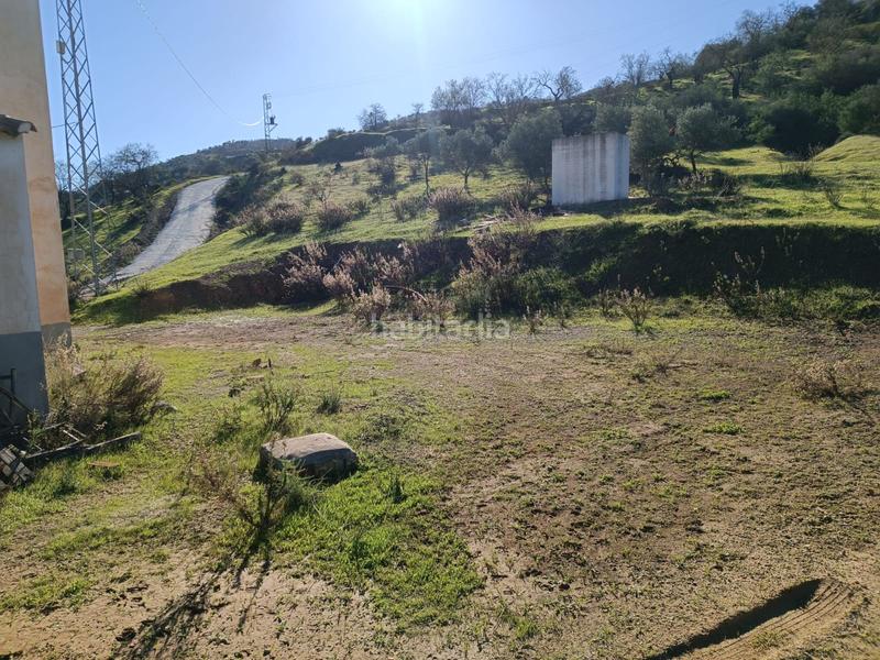 Foto 3ead8e68-d460-4872-9e75-45d58583aa6e. Xalet a avenida de andalucía 29 a Guaro