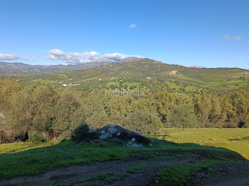 Foto 639ff25a-84d0-4293-8548-fc274049ca9f. Xalet a avenida de andalucía 29 a Guaro