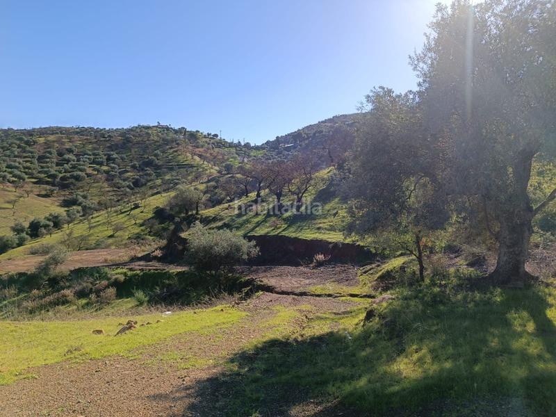 Foto 86518faa-2dcc-47fb-9eae-c9017e0f7d15. Xalet a avenida de andalucía 29 a Guaro