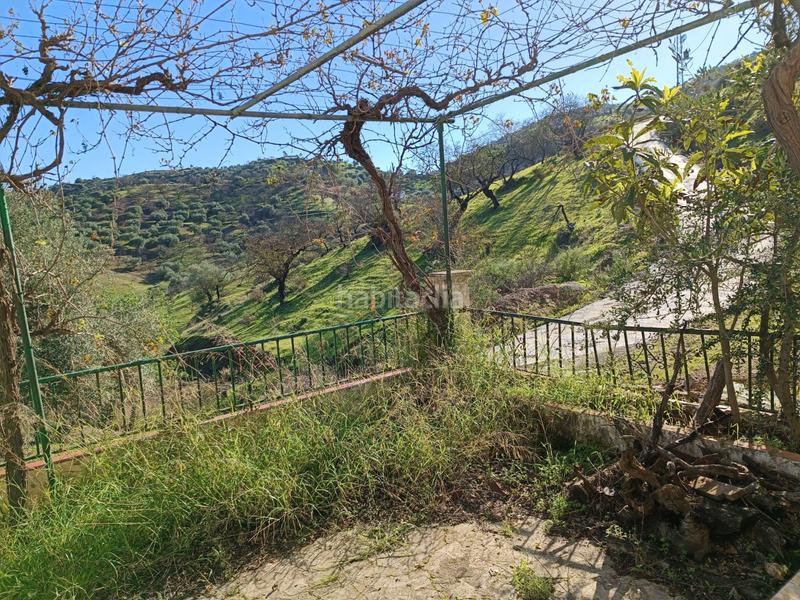 Foto d649f1c0-7250-481c-903b-3f79e3dd0338. Xalet a avenida de andalucía 29 a Guaro