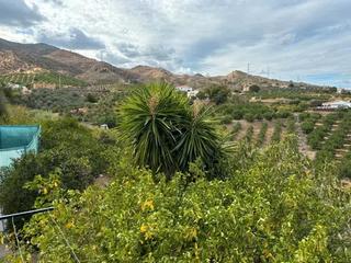 Masia a Álora. Venta de finca rústica en álora
