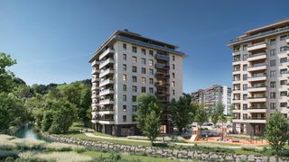 Flat  Añorga hiribidea