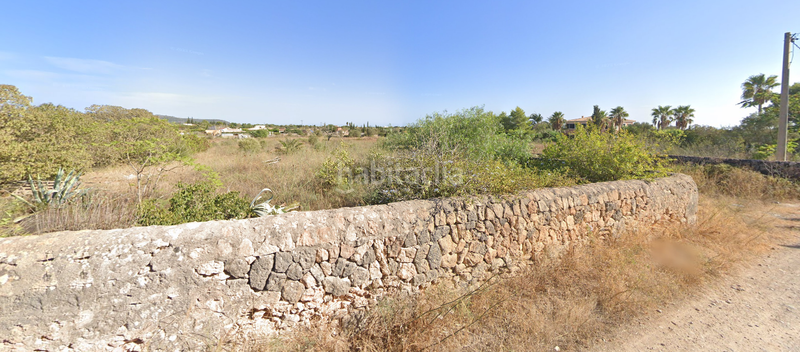 Foto 02d1b3e9-4d07-4a1c-9143-3adb2be2eda9. Fondo rustico in Llucmajor interior Llucmajor