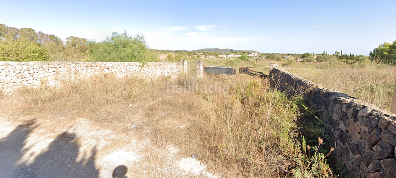 Foto b5be4f3b-af1a-4490-bc01-4412f74e4465. Fondo rustico in Llucmajor interior Llucmajor