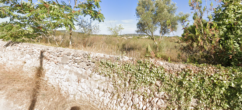 Foto faaea31e-2796-4b28-adec-13d93d0d4ee7. Fondo rustico in Llucmajor interior Llucmajor