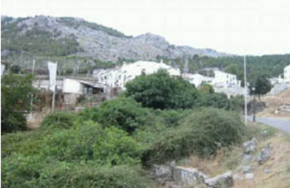 Terrain résidentiel à Grazalema