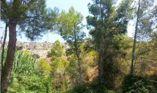 Terreny residencial a Mascarat