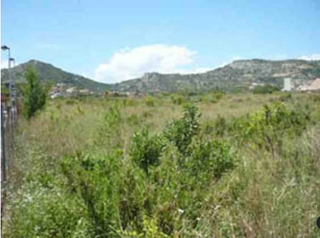 Terreny residencial a Pau Lledó
