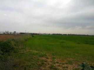Terreny residencial a Umbrete