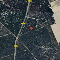 Terreno residenziale in Rueda