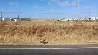 Terreny residencial a Olivenza