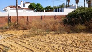 Terreno residenziale in El Pino-Bajo de Guía