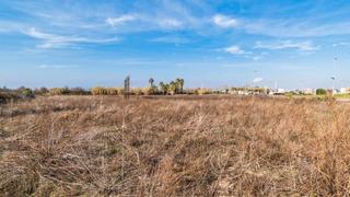 Residential Plot in Sarral