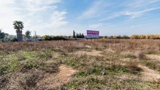 Residential Plot in Sarral