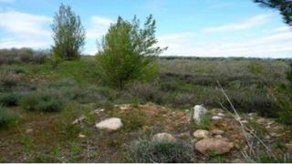 Terreno residenziale in Sojuela