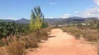 Terreno residencial en Alberic