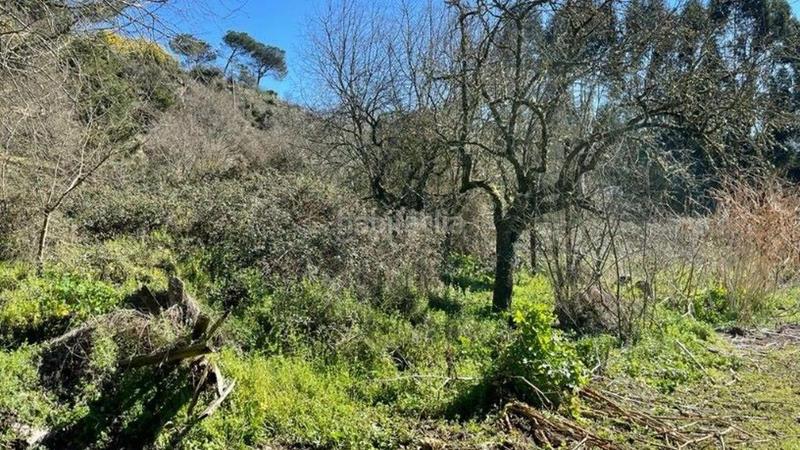 Foto ed993b41-0642-4715-aff8-dce6dfbf28ea. Terreny residencial a San Francisco Ourense