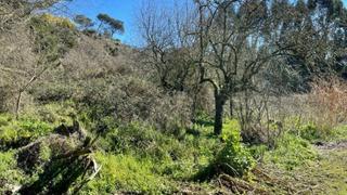Terrain résidentiel à San Francisco