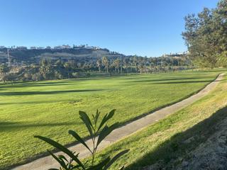 Semi detached house in Rojales