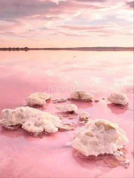 Foto 2efc81c7-8d90-4ab6-84e1-67f58c8cef68. Appartement mit pool in Punta Prima Torrevieja