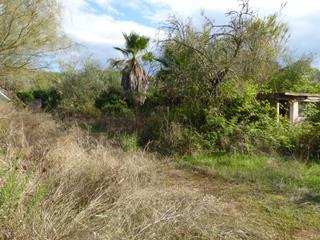Wohngrundstück in Algaida. Terreno rústico en venta en, algaida, illes balears