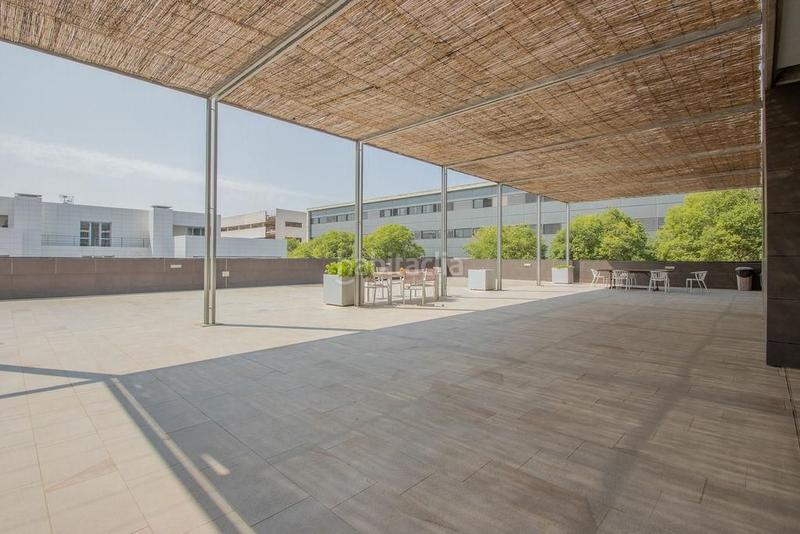 Foto 4dc57663-0766-492c-9e4e-a945e6803253. Oficina venta de oficina en parc bit en Establiments Palma de Mallorca