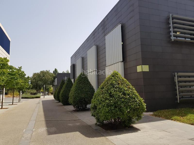 Foto ce55f13f-0e73-4fec-a653-b4b21d6f3a72. Oficina venta de oficina en parc bit en Establiments Palma de Mallorca