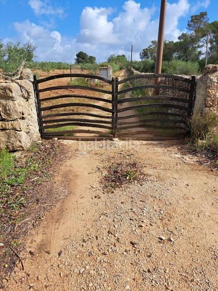 Foto 55c9fb56-fc8a-4500-b975-8630bca270e6. Terrain résidentiel dans Manacor centre Manacor