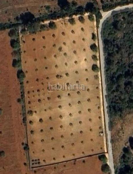 Foto 6e49b9e6-b814-48bf-ac2a-0c38c4e88ca5. Terrain résidentiel dans Manacor centre Manacor