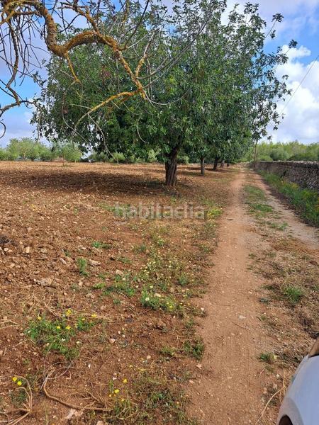 Foto 933123ab-0c61-4f03-861c-2aeadb745928. Terrain résidentiel dans Manacor centre Manacor