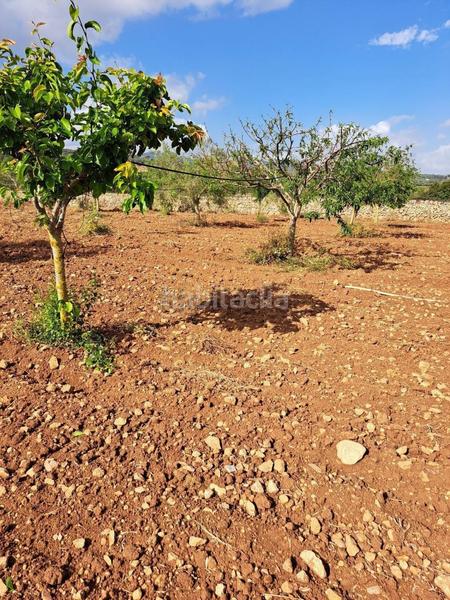 Foto 9e5b7f78-ce24-4c35-98b8-cff123e93cd9. Terreno residenziale in Manacor centre Manacor