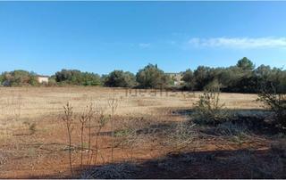 Rural plot in Llucmajor Interior