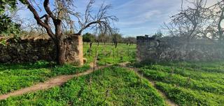 Country house in Santa Margalida Poble