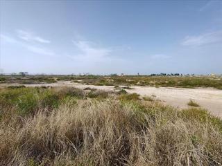 Wohngrundstück in El Palmar