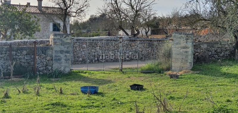 Foto c1cc9895-a242-499a-a960-d0ec68052697. Terrain résidentiel dans Santa Margalida poble Santa Margalida