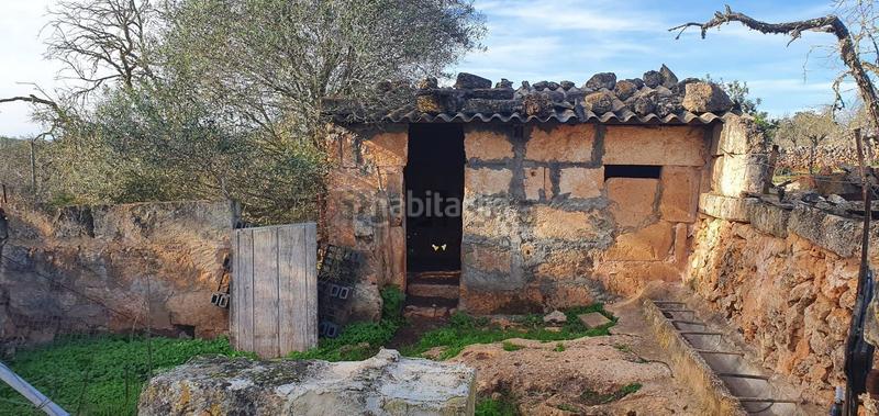 Foto fd9a100b-7156-4941-a47f-a5c07e04737f. Terrain résidentiel dans Santa Margalida poble Santa Margalida