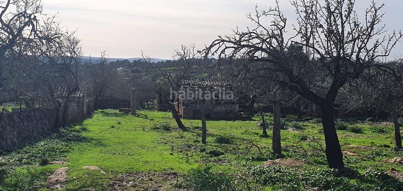 Foto 01a38fa7-e3b4-4216-b9ac-b024b5948a23. Terreno residenziale in Santa Margalida poble Santa Margalida