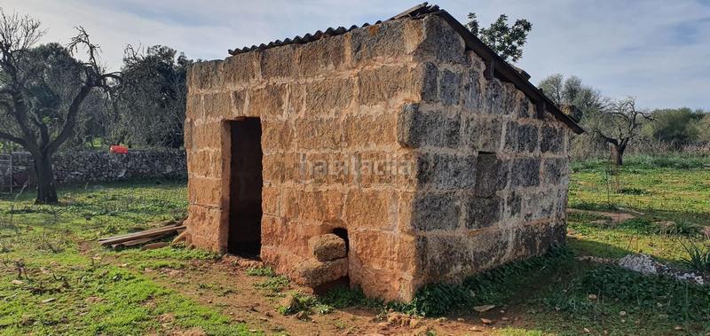 Foto a4998b19-e256-492a-bf95-b5eaa9e823a2. Terreno residenziale in Santa Margalida poble Santa Margalida