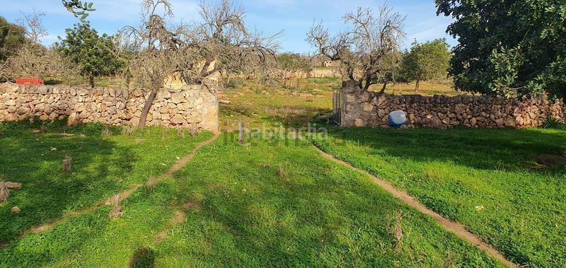 Foto bd7e94a5-1c3a-4e18-9e1c-a50fd8fdab6e. Terreno residenziale in Santa Margalida poble Santa Margalida