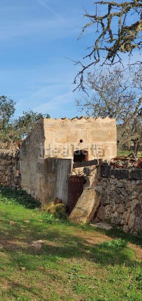 Foto 97a1a771-a77a-4c17-862a-4d963e1ee964. Wohngrundstück in Santa Margalida poble Santa Margalida