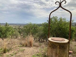 Wohngrundstück in Maria de la Salut