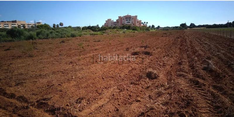 Foto ce15a848-e8a1-4cb7-ad0f-0f59a5a6d2e9. Terreno residencial en Sant Llorenç des Cardassar