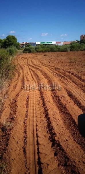 Foto ee837672-992d-4a7b-8fdb-f4aa08b33ed3. Terreno residencial en Sant Llorenç des Cardassar